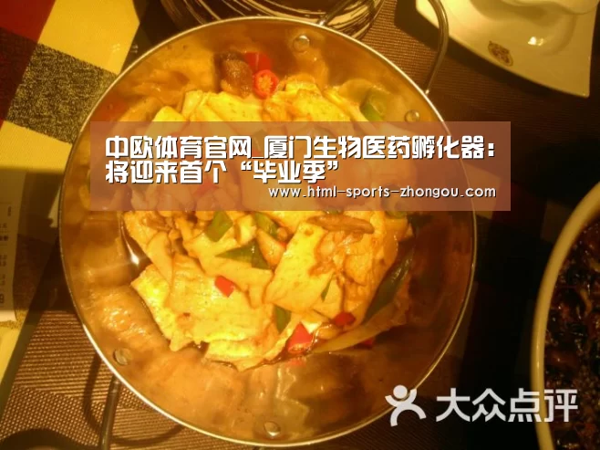 zoty体育