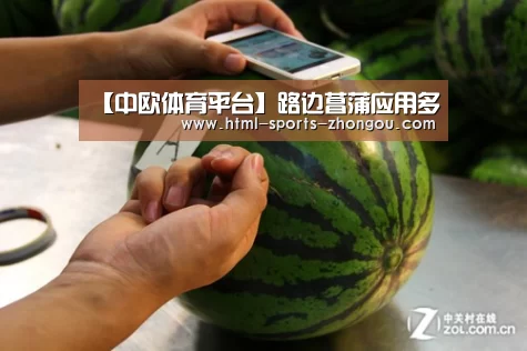【中欧体育平台】路边菖蒲应用多(图3) 中欧体育官网