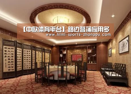 【中欧体育平台】路边菖蒲应用多