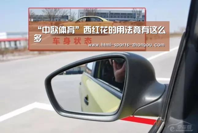 “中欧体育”西红花的用法竟有这么多(图3) 中欧体育官网