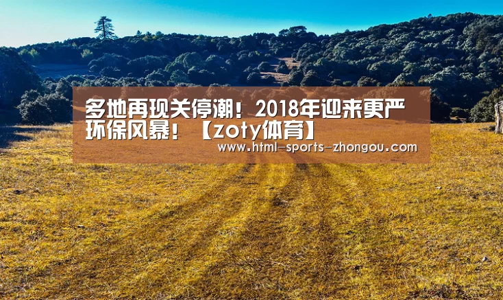多地再现关停潮!2018年迎来更严环保风暴!【zoty体育】(图3) zoty体育