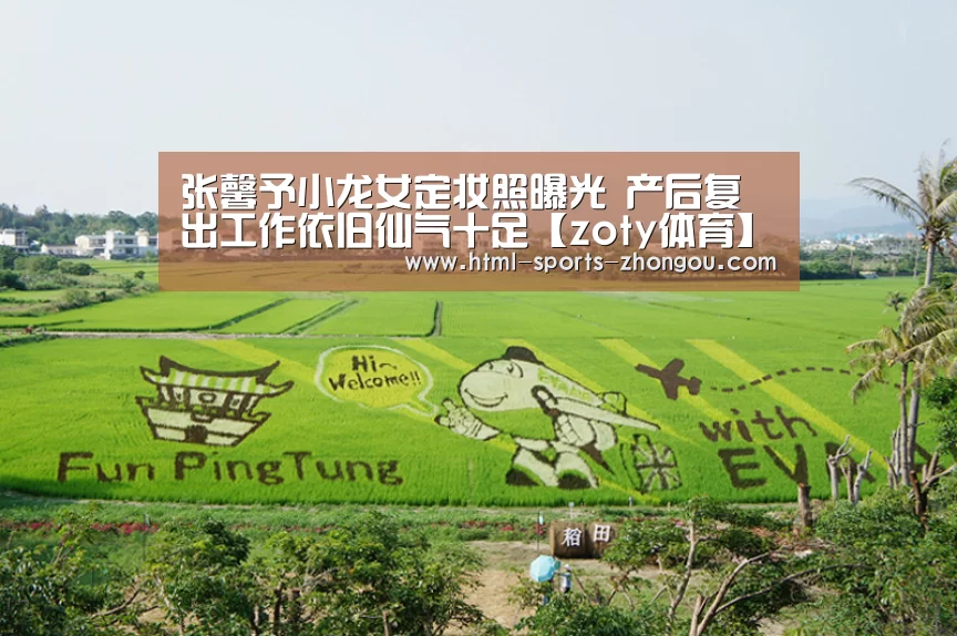 中欧体育平台